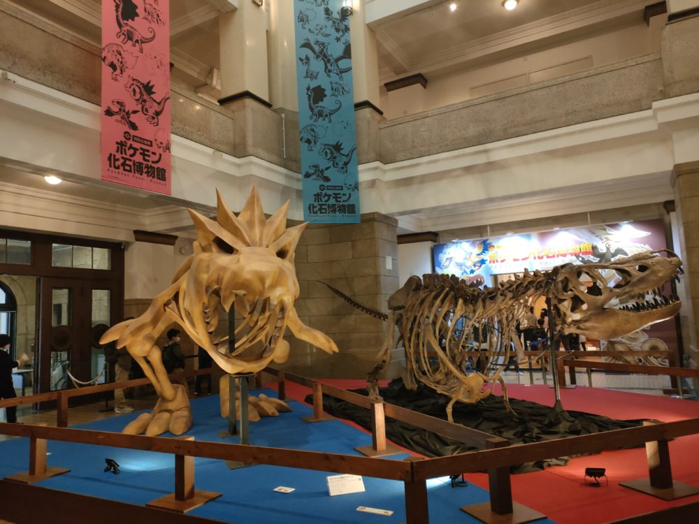ポケモンの実物大骨格想像模型と古生物の標本