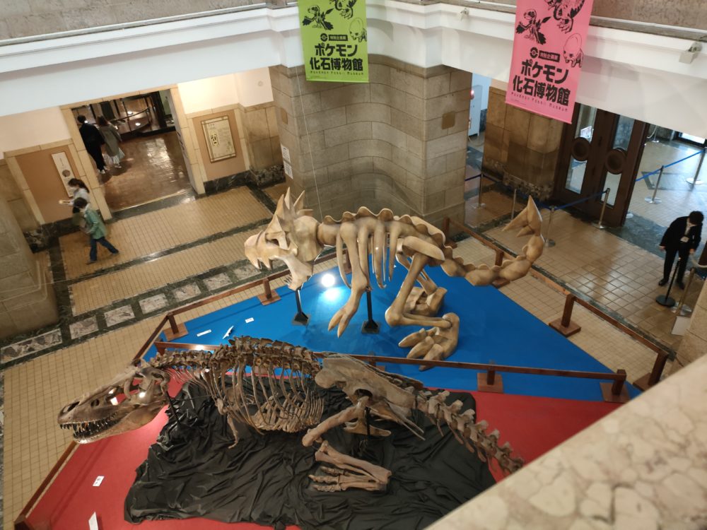 ポケモンの実物大骨格想像模型と古生物の標本